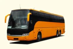 buses