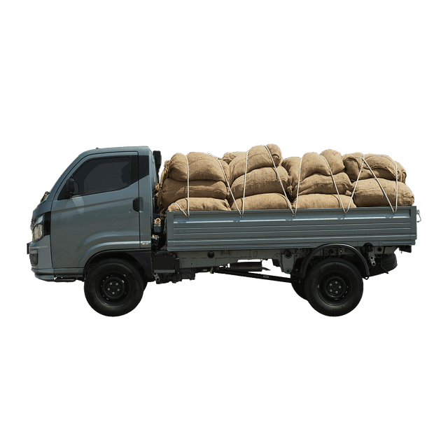 Tata Intra V50 Gold