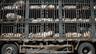 How to Safely Transport Domestic Animals in Commercial Vehicles: Rules & Best Practices